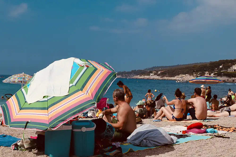 Beaches in France are being covered by a toxic algae