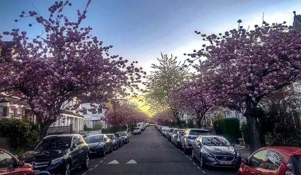 New road tax rates, VED bands and costs 2023/2024