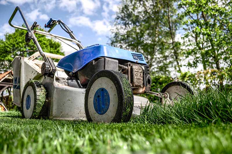 A lawn mower with freshly cut lawn